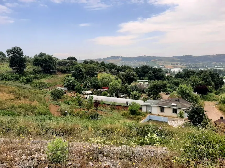 Parkın çevresindeki doğa